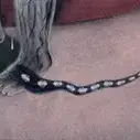 Постер аниме «Я»